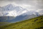 Alaska Range and Tundra