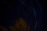 Spruce Tree and Star Trails