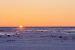 Tundra Sunset