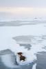 Frozen Lake in Nunavut